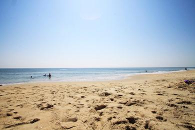 Sandee Best Party Beaches in Virginia