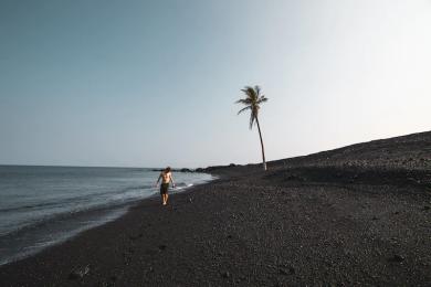 Sandee Best Black Sand Beaches in French Polynesia