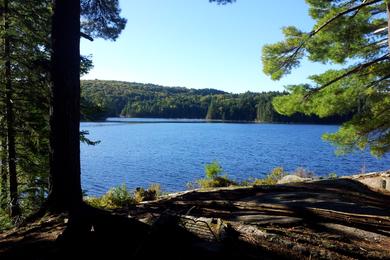 Sandee - Pardee Lake Recreation Area