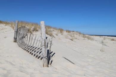 Sandee Best Non-Smoking Beaches in New Jersey