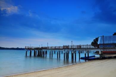 Sandee Best Bioluminescent Beaches in Singapore