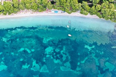 Sandee Best Dog Beaches in Balearic Islands