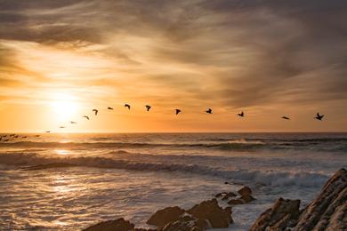 Sandee Most Dangerous Beaches in California 