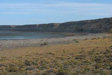 Sandee Punta Guanaco Photo