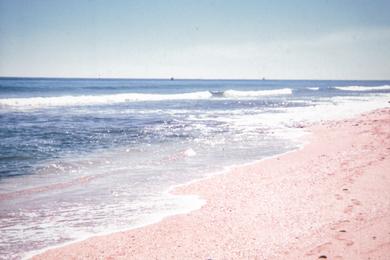 Sandee Best Pink Sand Beaches in Ecuador