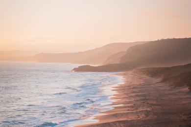 Sandee Most Polluted Beaches in Norfolk Island