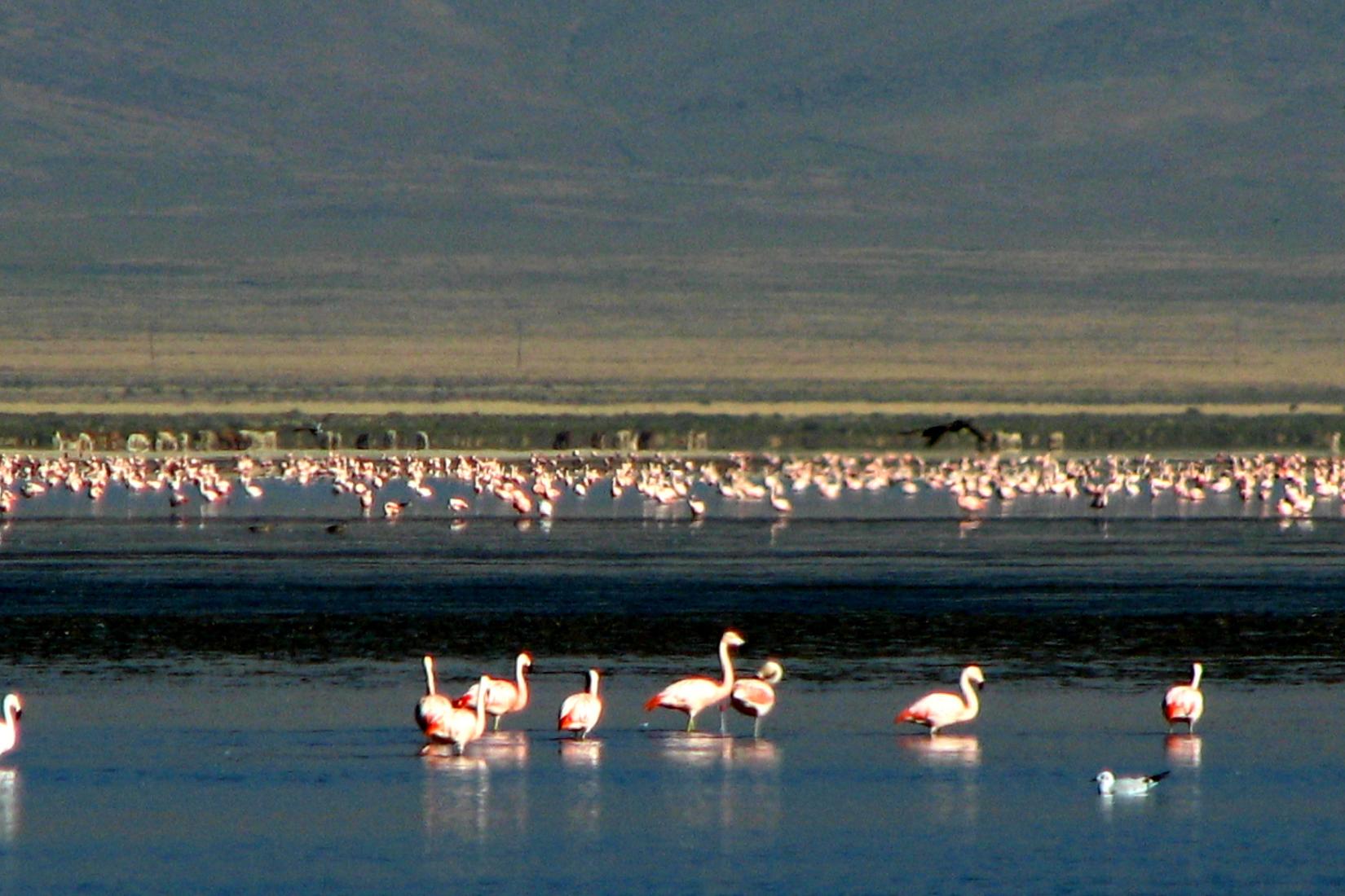 Jujuy Photo - Sandee