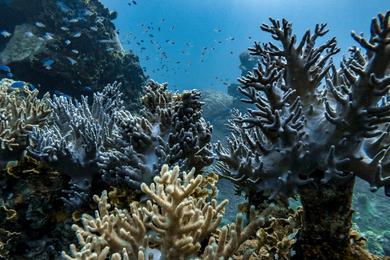 Sandee Best Non-Smoking Beaches in Micronesia