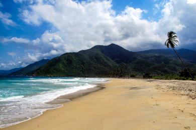 Sandee Best Surfing Beaches in Venezuela