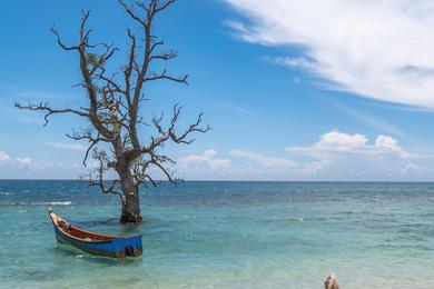 Sandee Most Dangerous Beaches in Kiribati