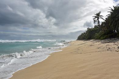 Sandee Best Dog Friendly Beaches in Tonga