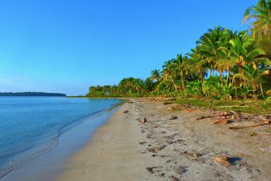 Sandee Best Beaches in Panama