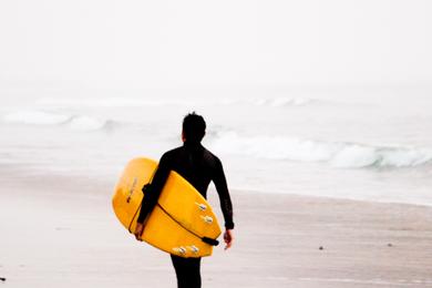 Sandee Best Surfing beaches in the Falkland Islands 