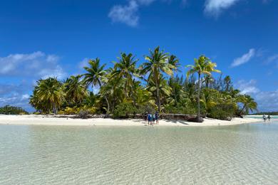 Sandee Best Dog Beaches in the Cook Islands