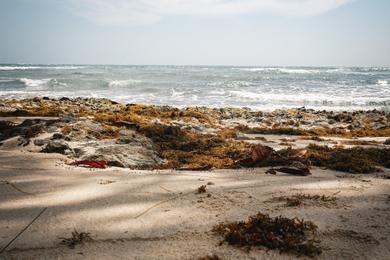 Sandee Best Beaches with Disability Access in Barbados