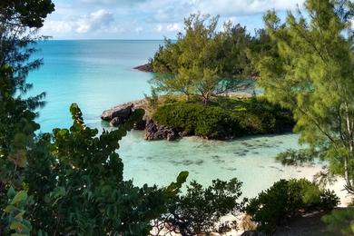 Sandee Best Dog Friendly Beaches in Bermuda