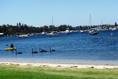 Sandee Peppermint Grove Beach