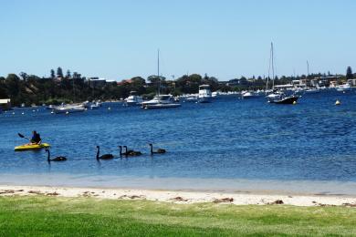 Sandee Peppermint Grove Beach Photo