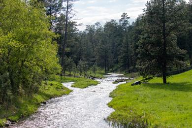 Sandee Best Beaches in Custer