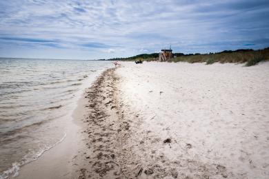 Sandee Falsterbo Beach