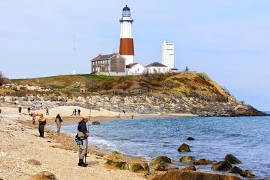 Sandee Turtle Cove Beach Photo