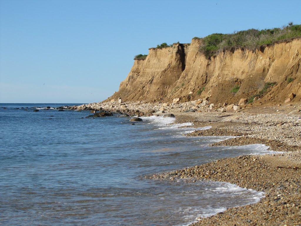 Sandee - Turtle Cove Beach