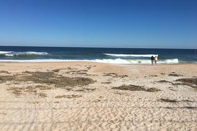 Sandee - South Ponte Vedra Beach Recreation Area