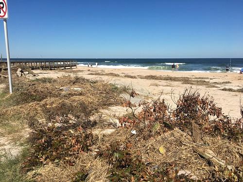 Sandee - South Ponte Vedra Beach Recreation Area