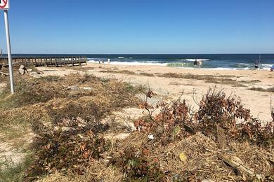 Sandee - South Ponte Vedra Beach Recreation Area