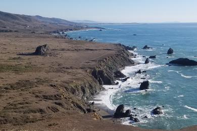 Sandee Shell Beach Photo