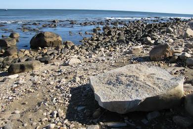 Sandee Beach At Driftwood Cove Photo