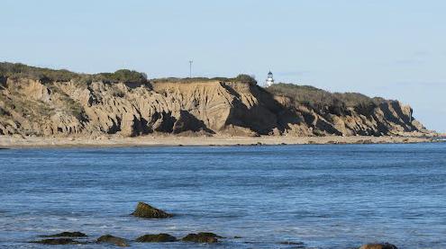 Sandee - Beach At Driftwood Cove