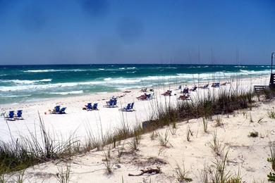 Sandee Seagrove Beach Photo