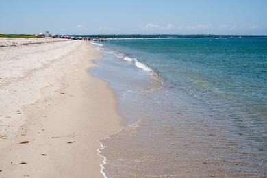 Sandee Joseph Sylvia State Beach Photo