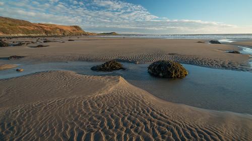 Sandee - West Sands Beach