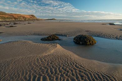 Sandee - West Sands Beach