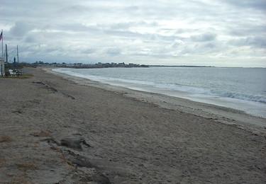 Sandee Roy Carpenter's Beach