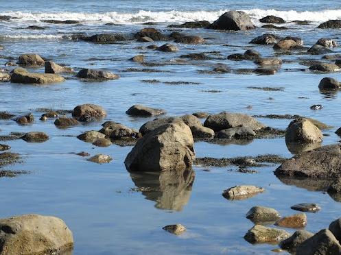 Sandee - Beach At Driftwood Cove