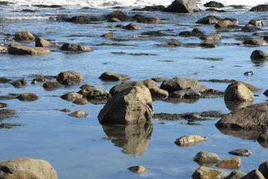 Sandee - Beach At Driftwood Cove