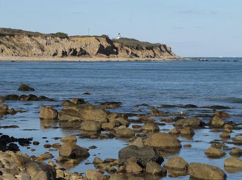 Sandee - Beach At Driftwood Cove