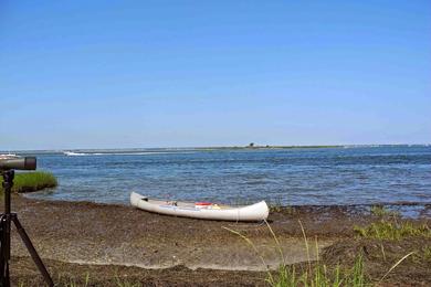 Sandee Sedge Island