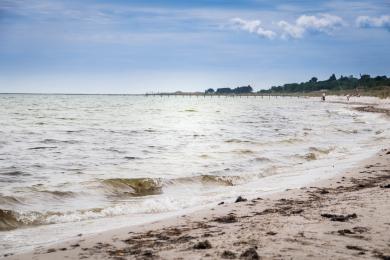 Sandee - Falsterbo Beach