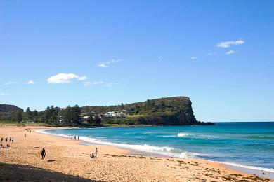 Sandee Avalon Beach