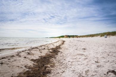 Sandee - Falsterbo Beach