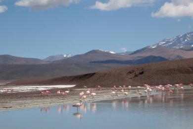 Sandee Laguna Brava Photo