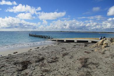Sandee Port Kennedy Beach