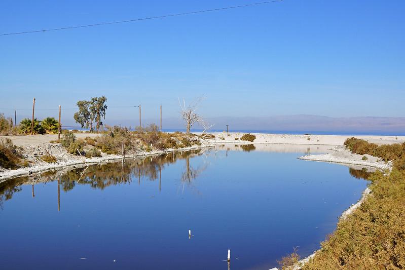 Sandee - Salton Sea