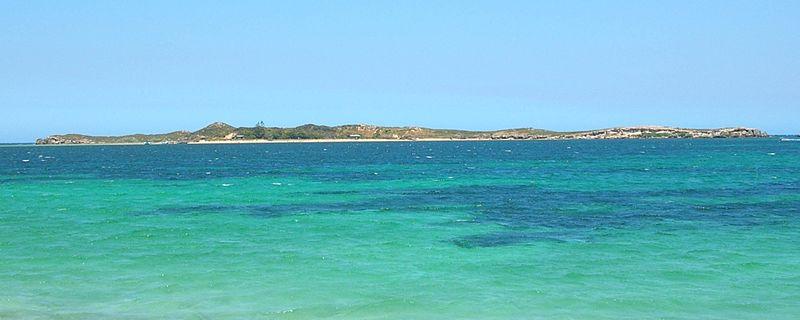 Sandee - HomePage / Shoalwater