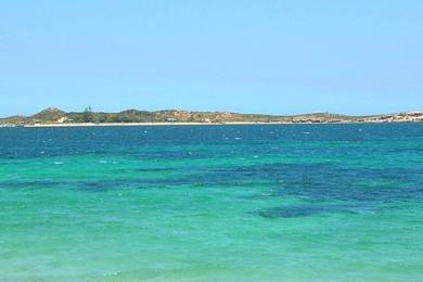 Sandee Penguin Island Photo