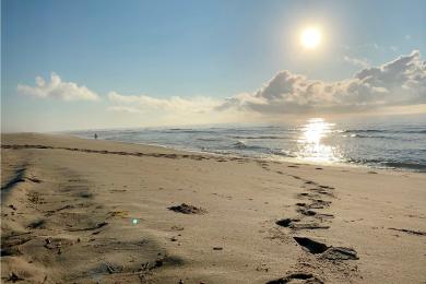 Sandee - Brant Beach